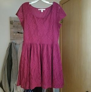 ⭐ Lauren Conrad Knit Dress